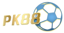 sudoku puzzle books for adults
